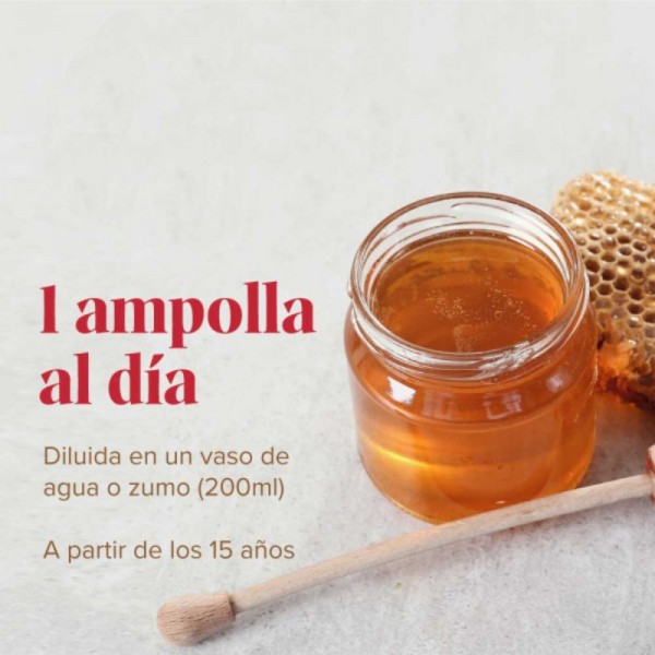 Arkoreal Jalea Real Ginseng SIn Azucar 20 Ampollas 2